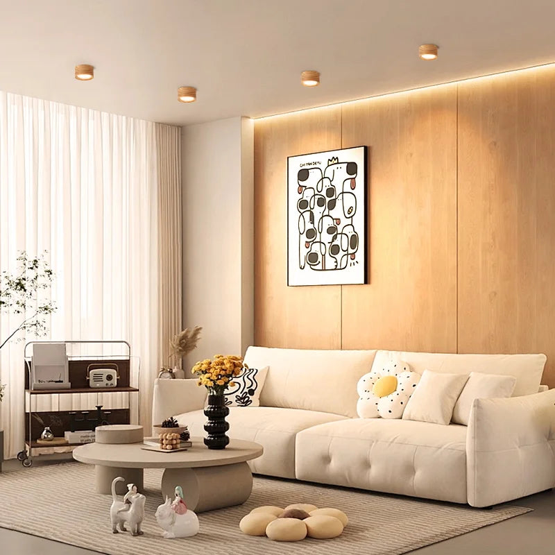 Minimalist Flush-Mount Downlight for Modern Interiors