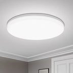 Kennedy Alfred Modern Indoor Ceiling Light