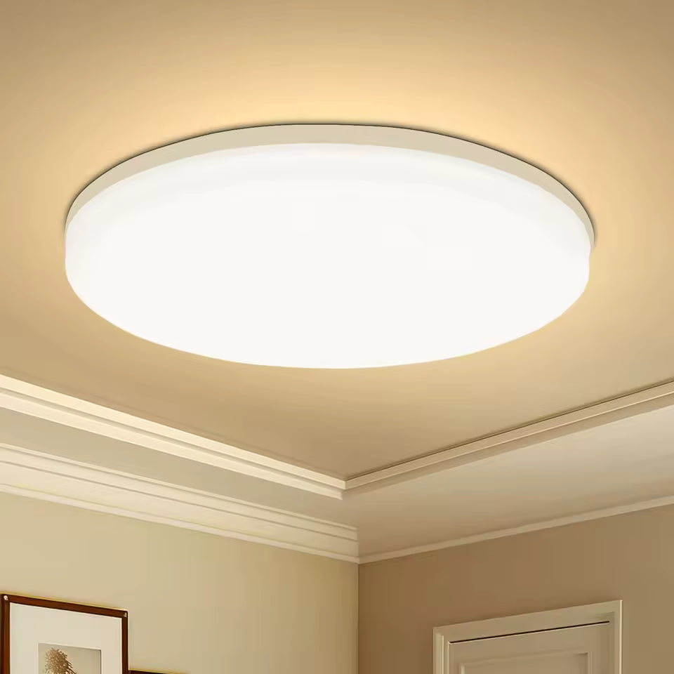 Kennedy Alfred Modern Indoor Ceiling Light