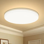 Kennedy Alfred Modern Indoor Ceiling Light