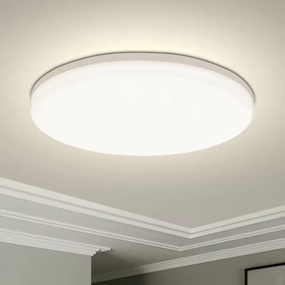 Kennedy Alfred Modern Indoor Ceiling Light